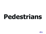 Pedestrian