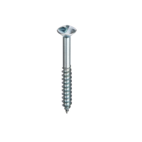 Anti Vandal Screws Anti Vandal Screws
